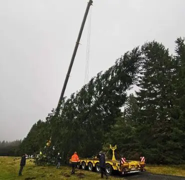 Lire la suite à propos de l’article Une piste de roulage pour une opération de levage délicate